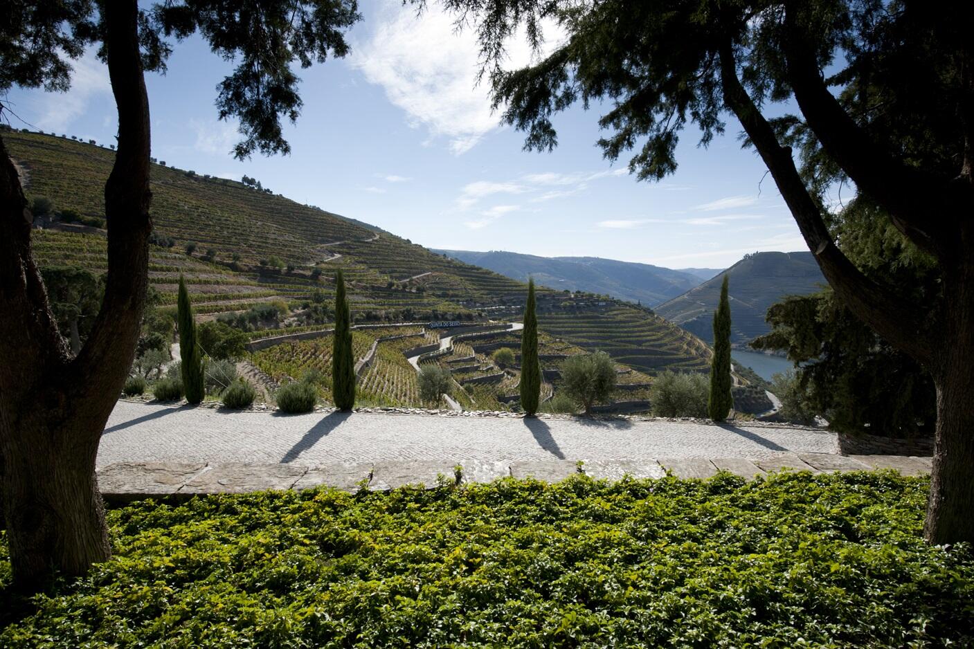 Quinta do Seixo terrace