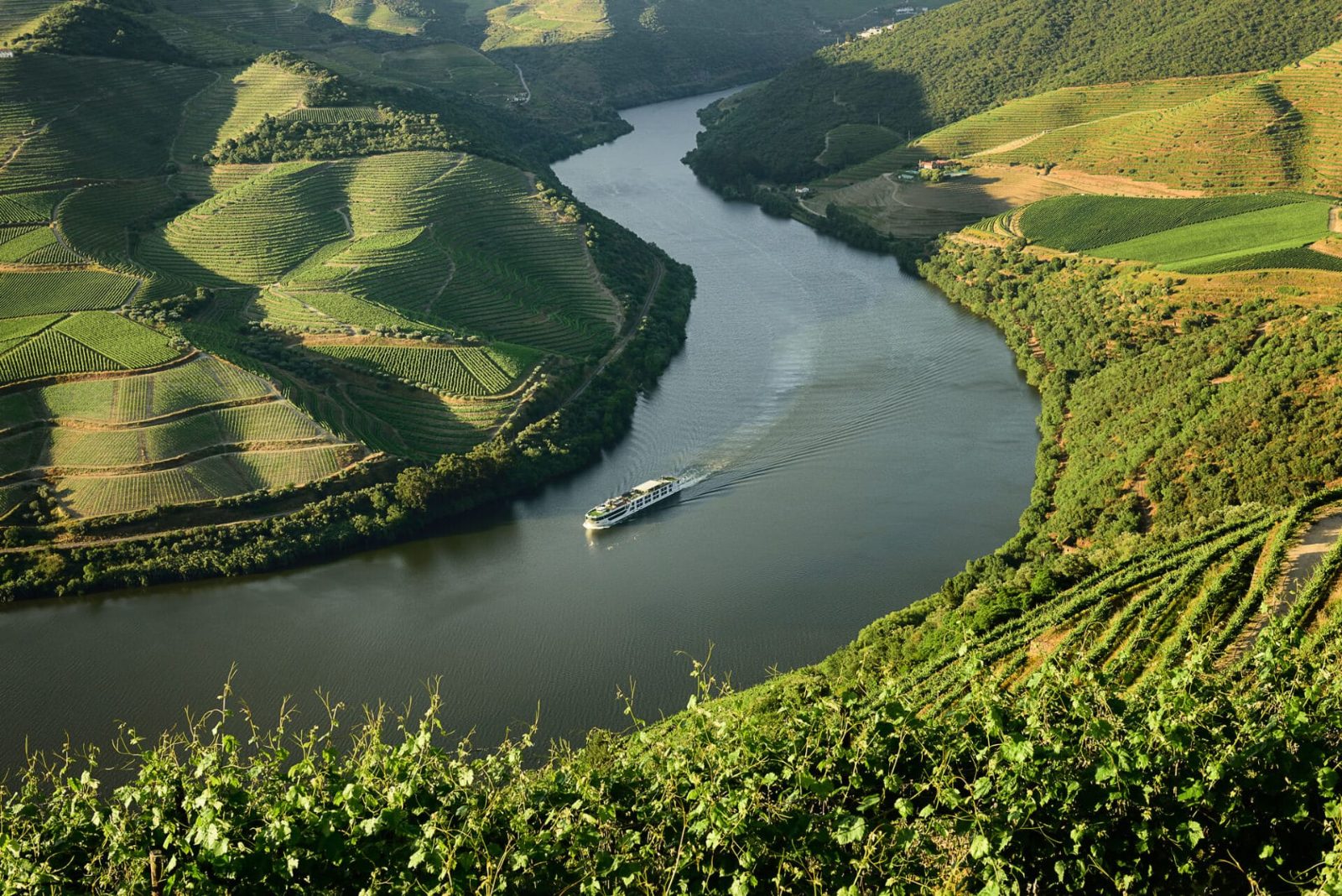Douro River Cruise