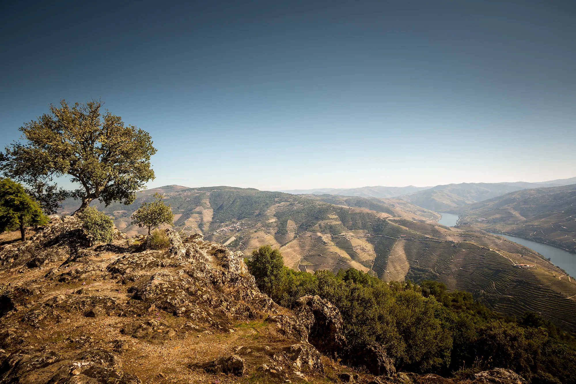 Miradouro de Távora