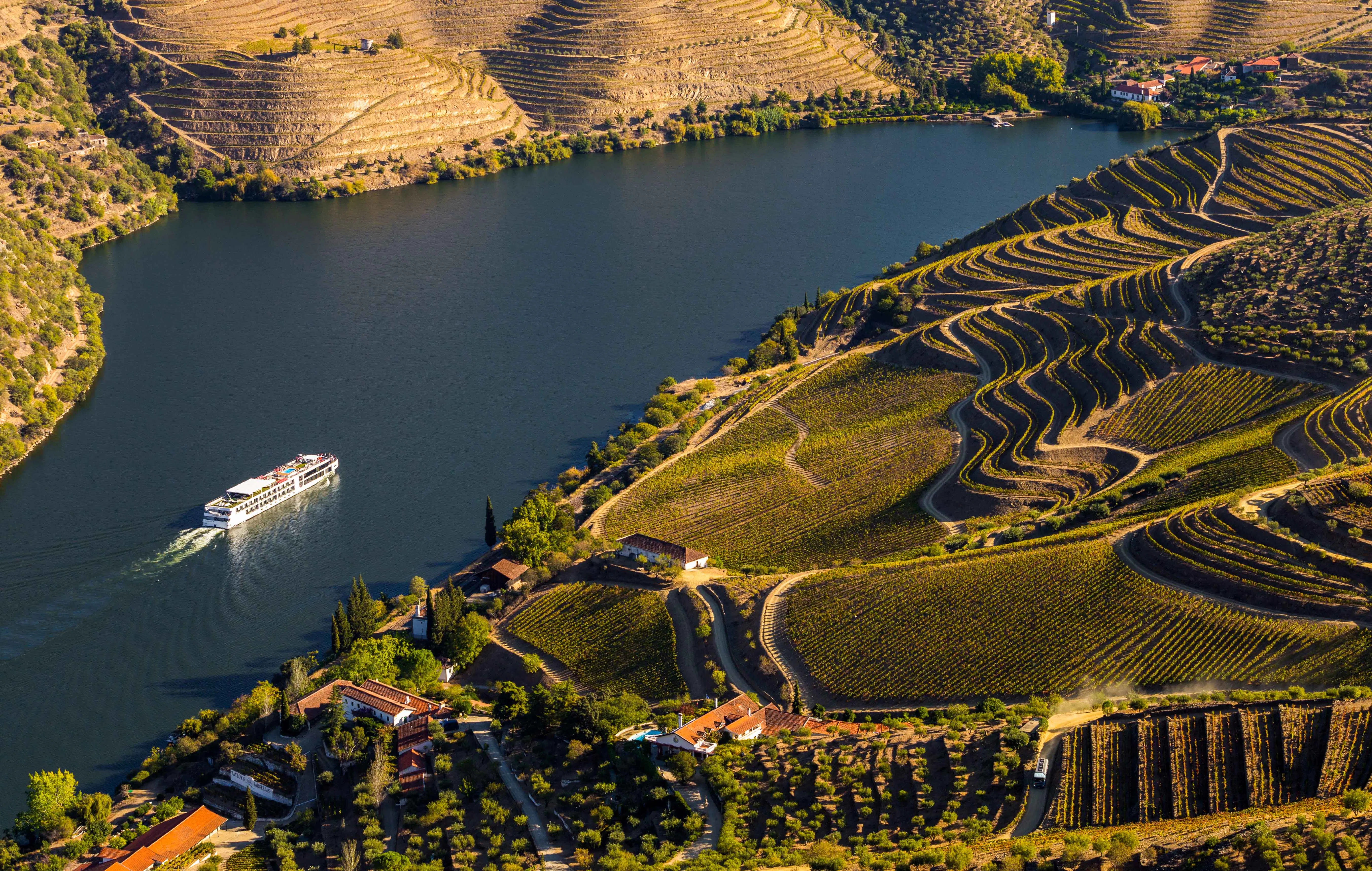 Douro Valley Tour From Porto