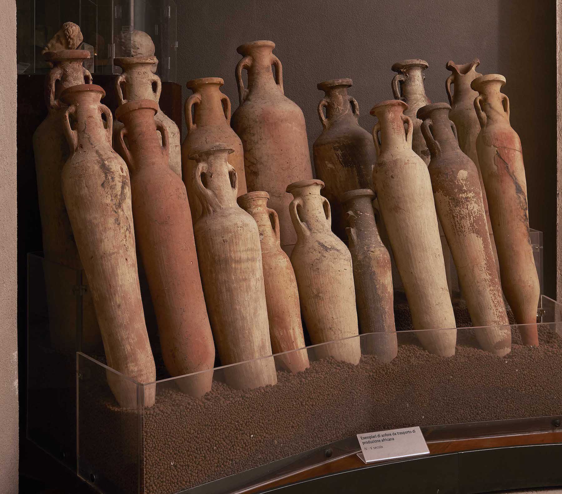 Collection d'amphores et de spatheia africaines