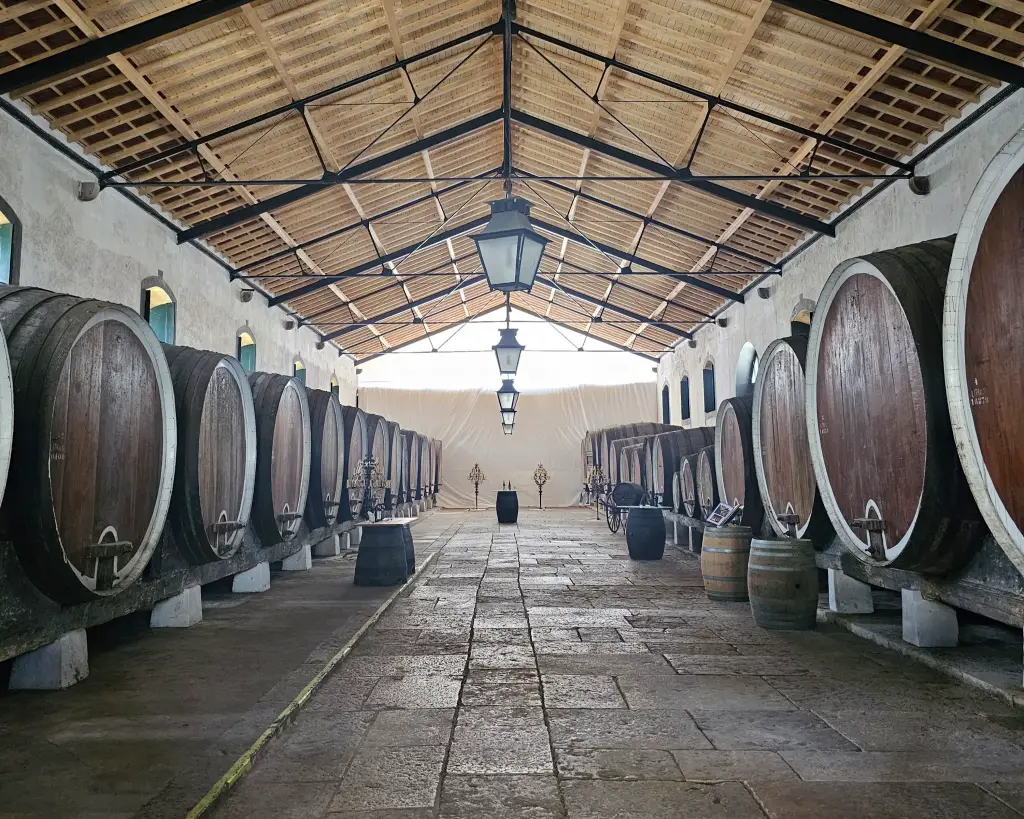 Douro Valley Wine Tour Private