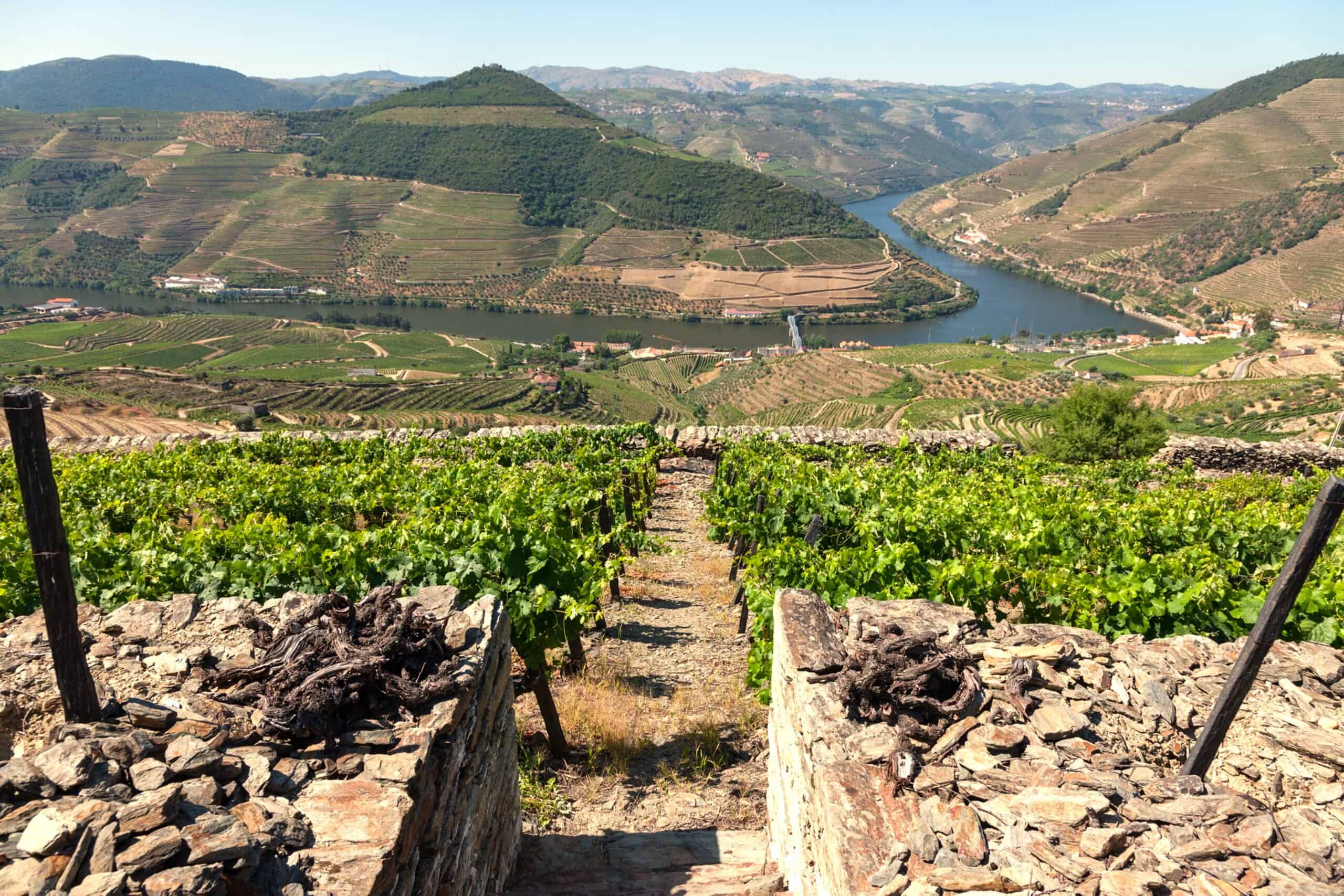 Miradouro de Casal de Loivos