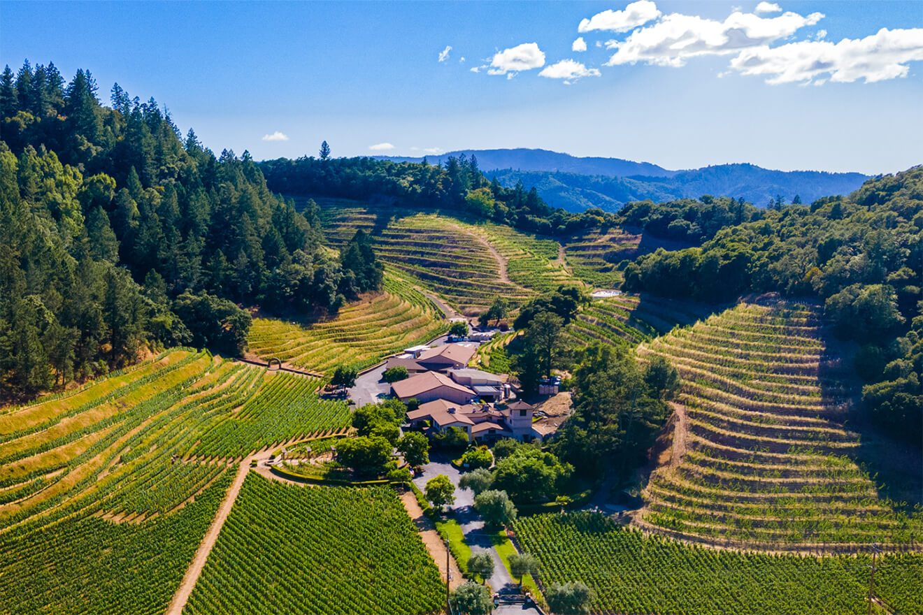 Vineyard Welcome