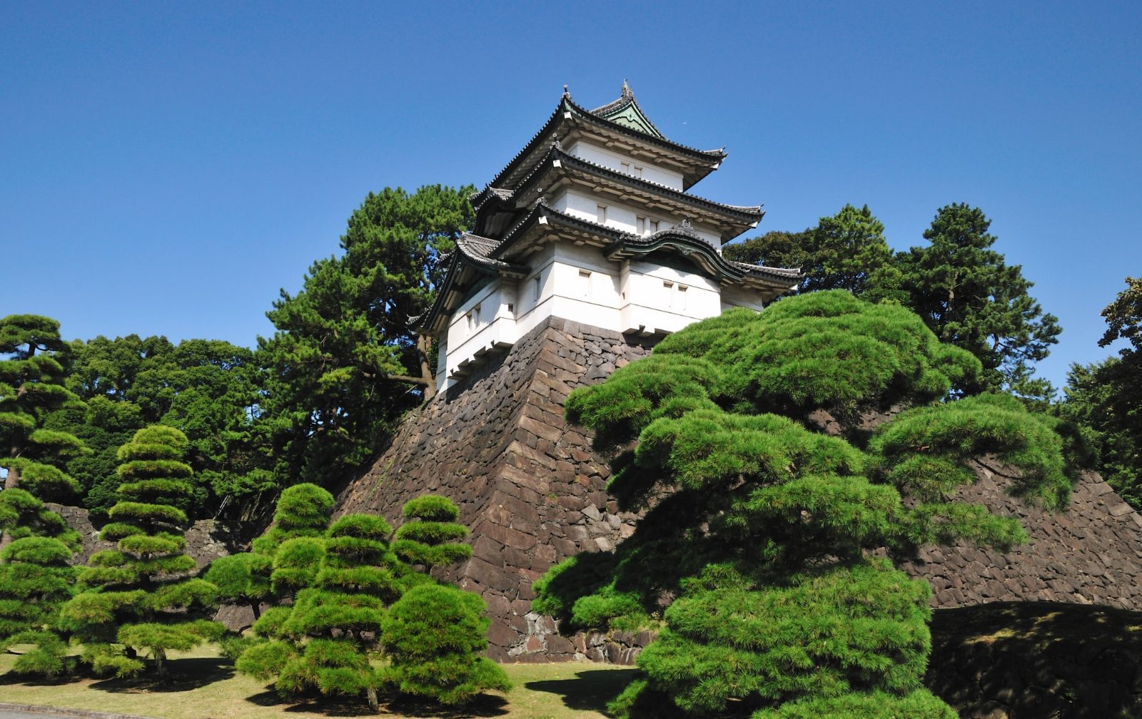 Edo Castle Ruins