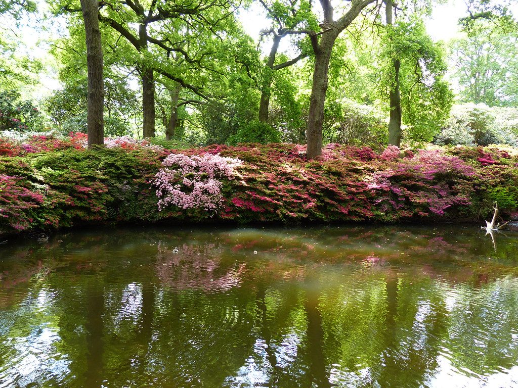 Isabella Plantation