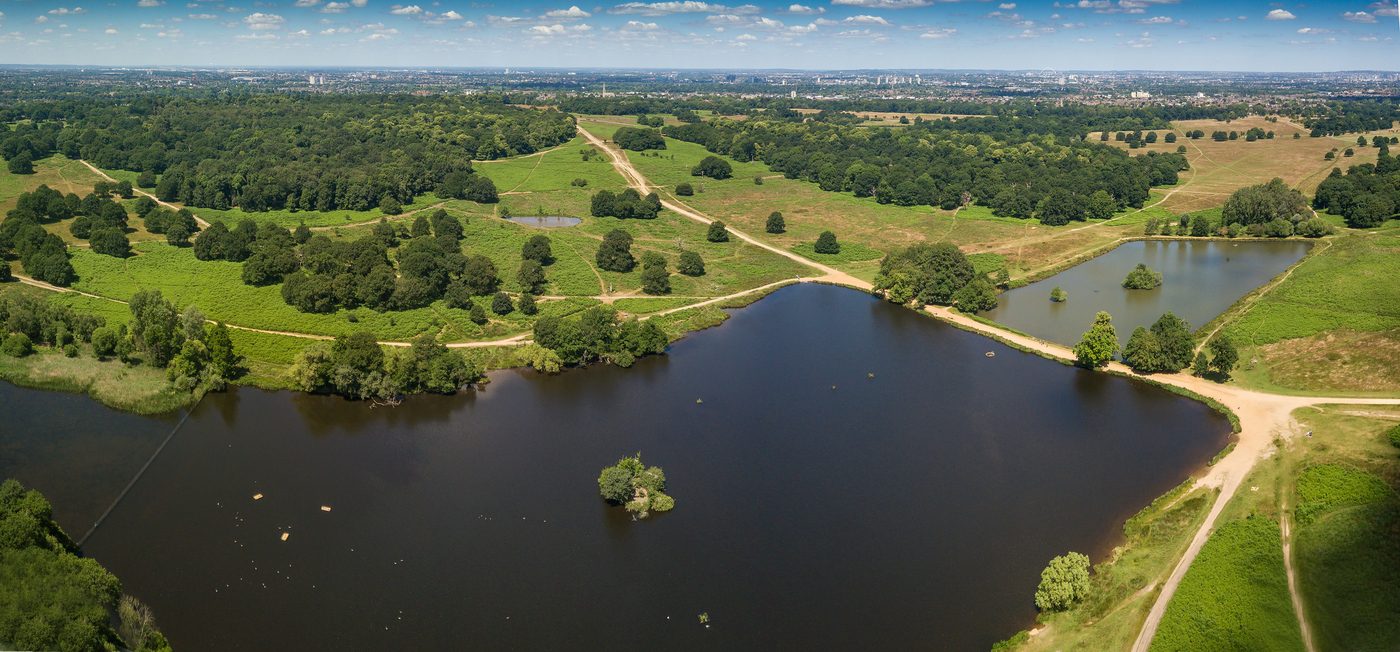 Pen Ponds Walk