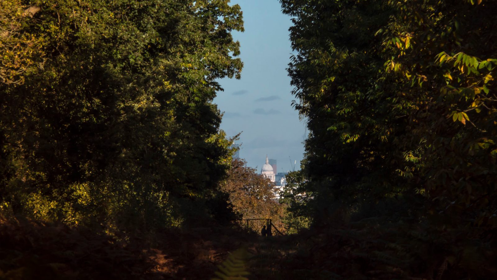 King Henry VIII Mound