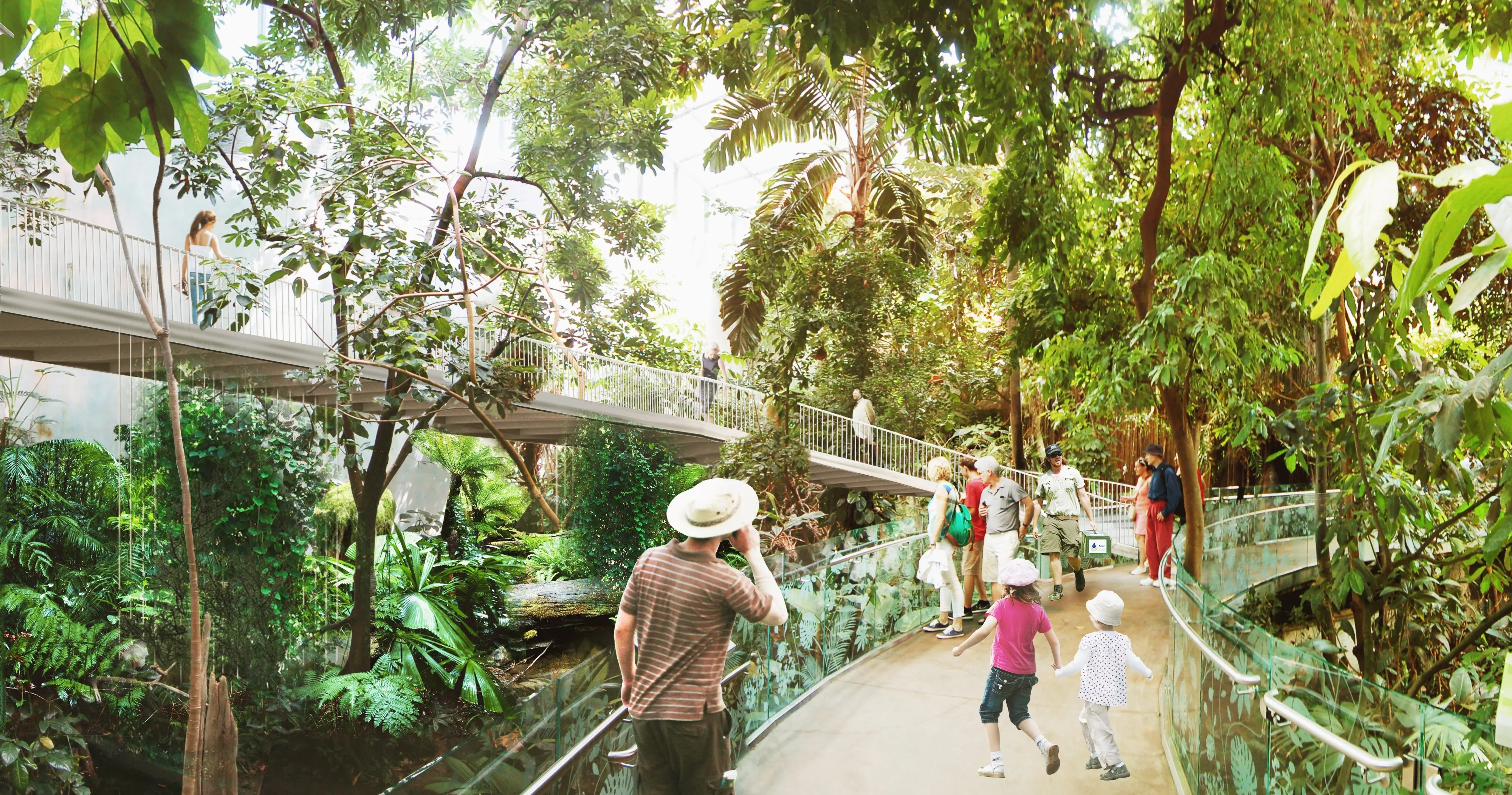 Tropical Rainforest Canopy Walkway