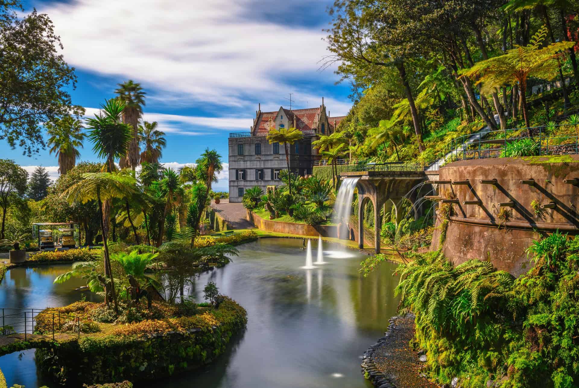 Koi Pond Terrace