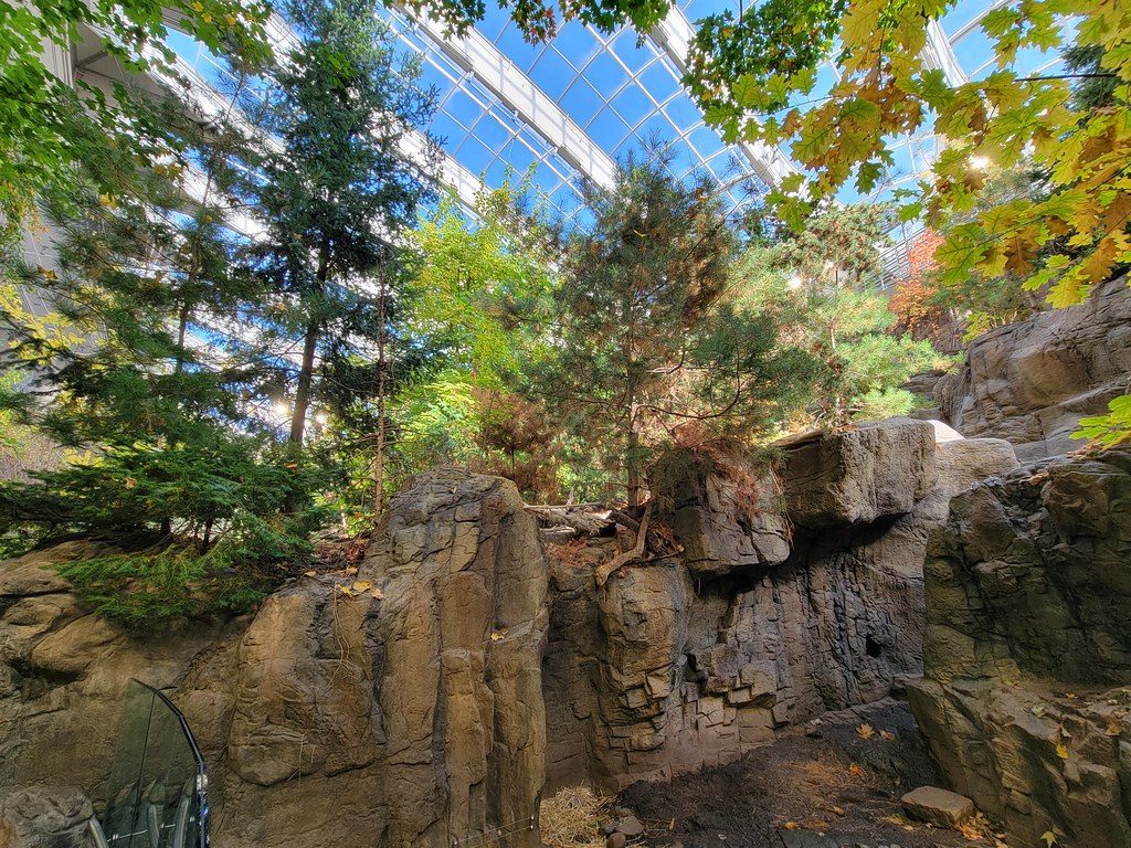 Laurentian Maple Forest