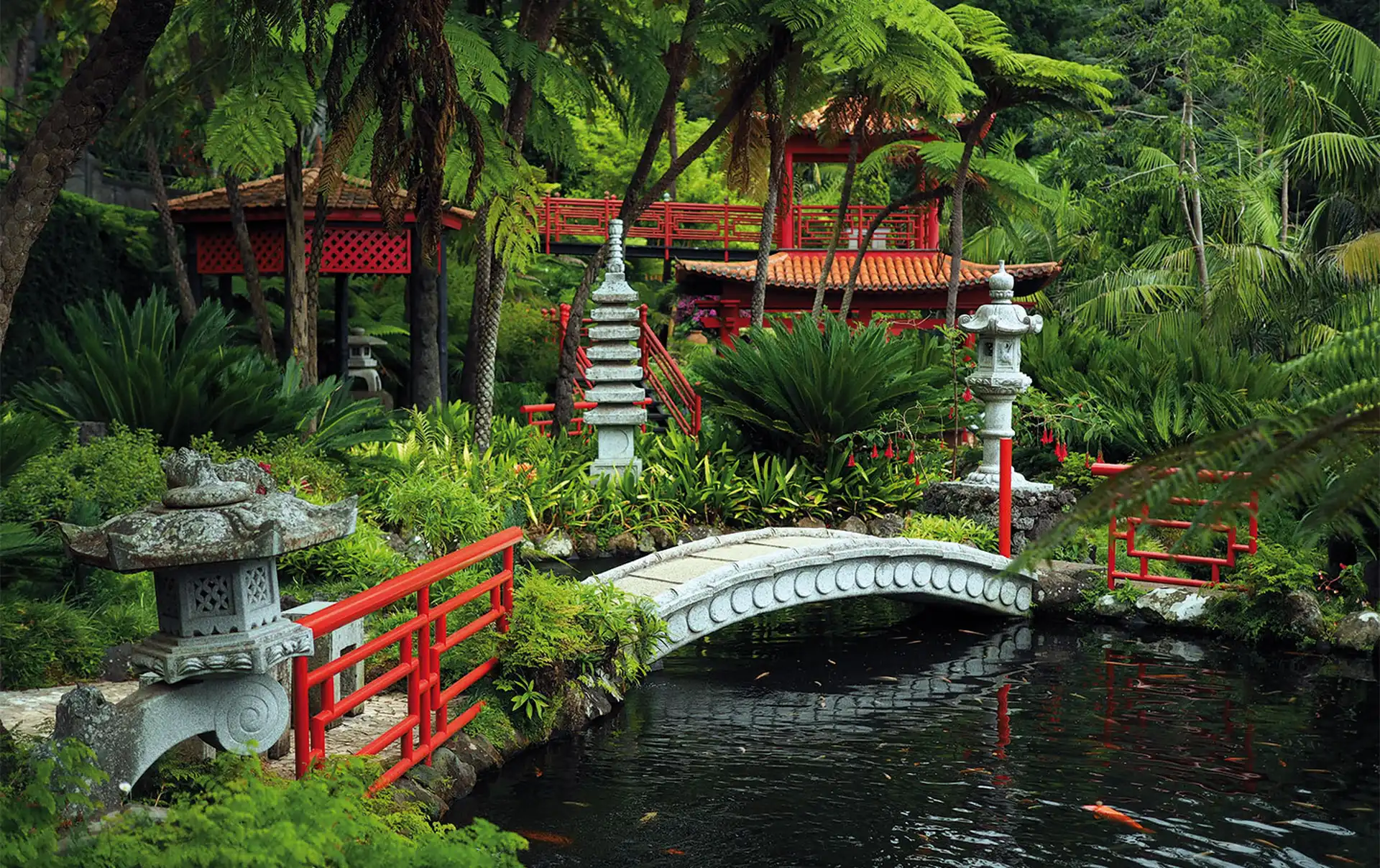 Oriental Garden