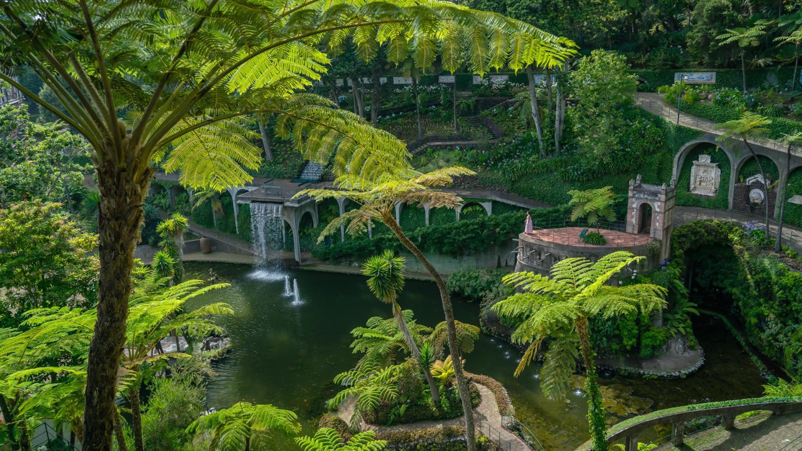 Fern Garden Path