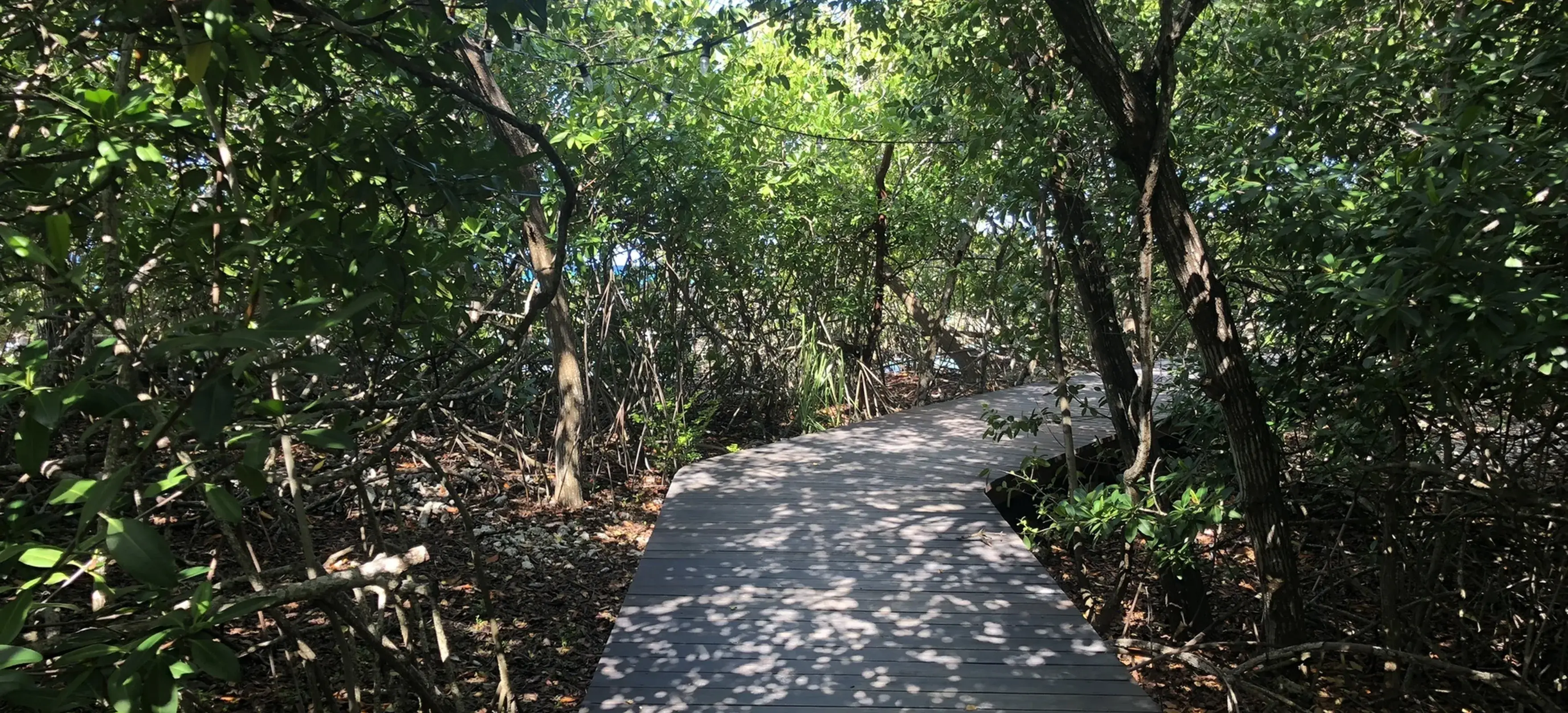 Cordillera Nature Trails