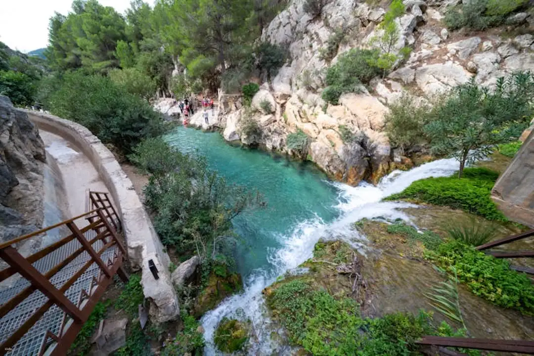 Bridge Viewpoint