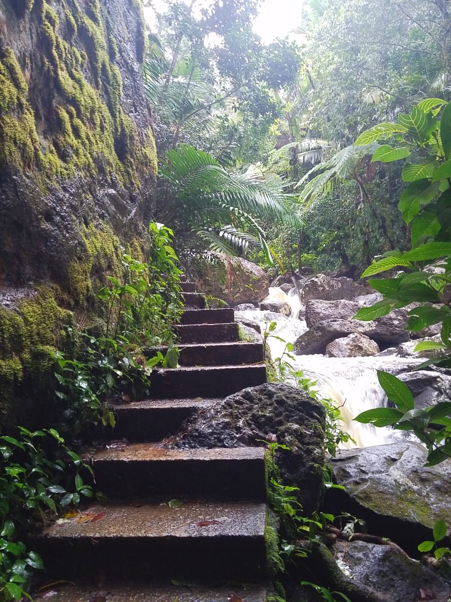 El Yunque National Forest