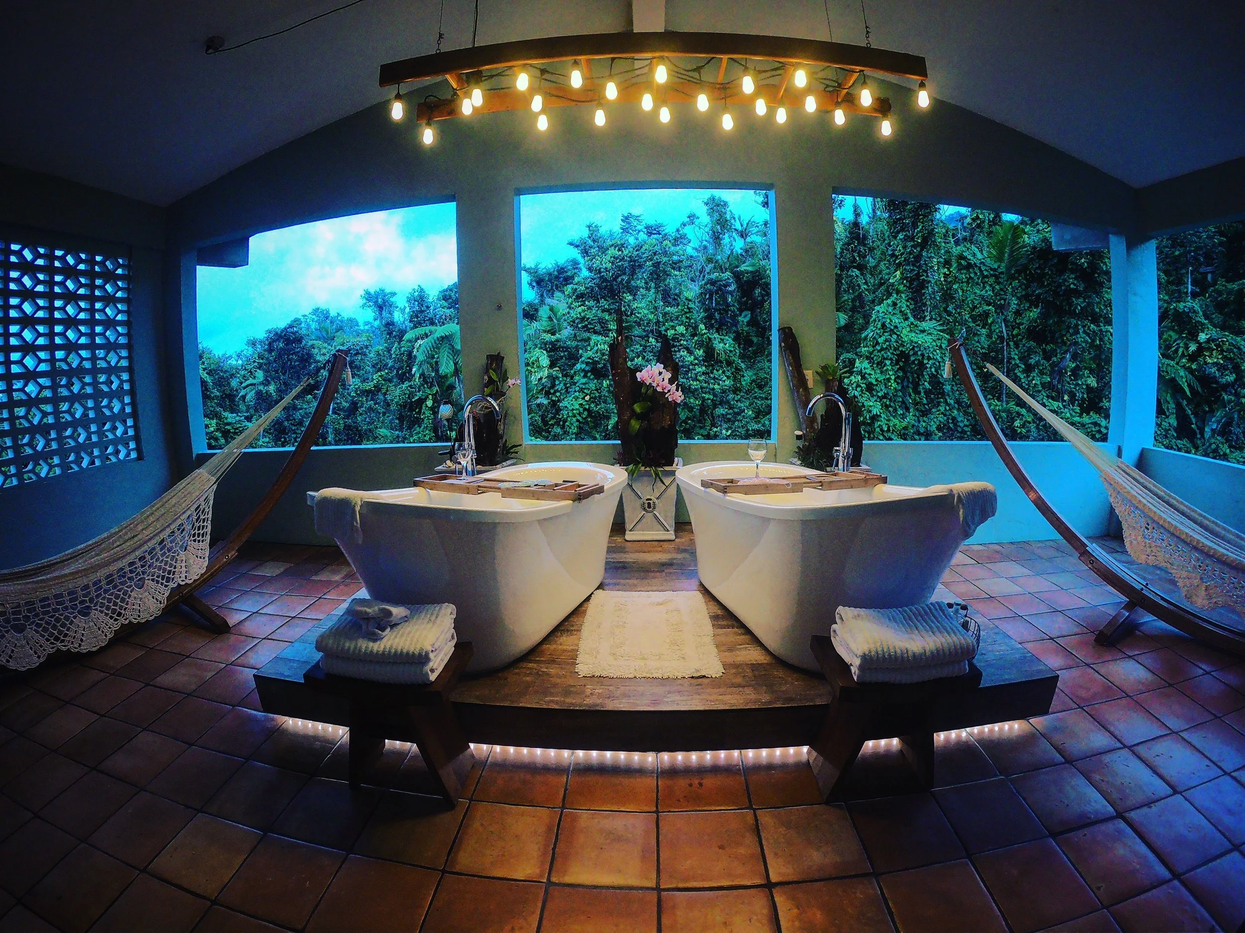 Rainforest Inn