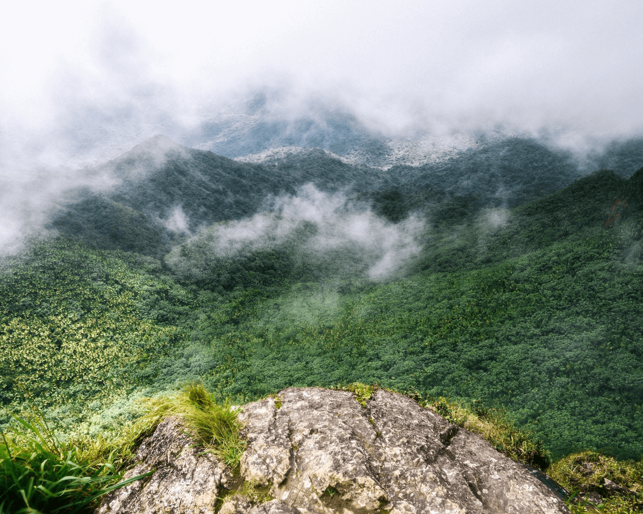 Caimitillo Observation Point