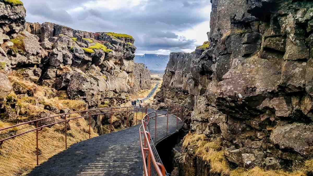 The Wooden Walkway