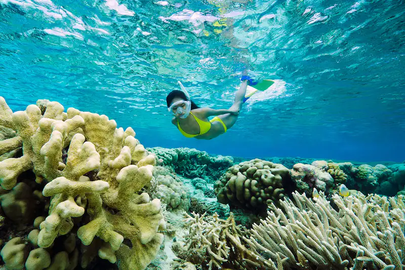 Swimming and Snorkeling