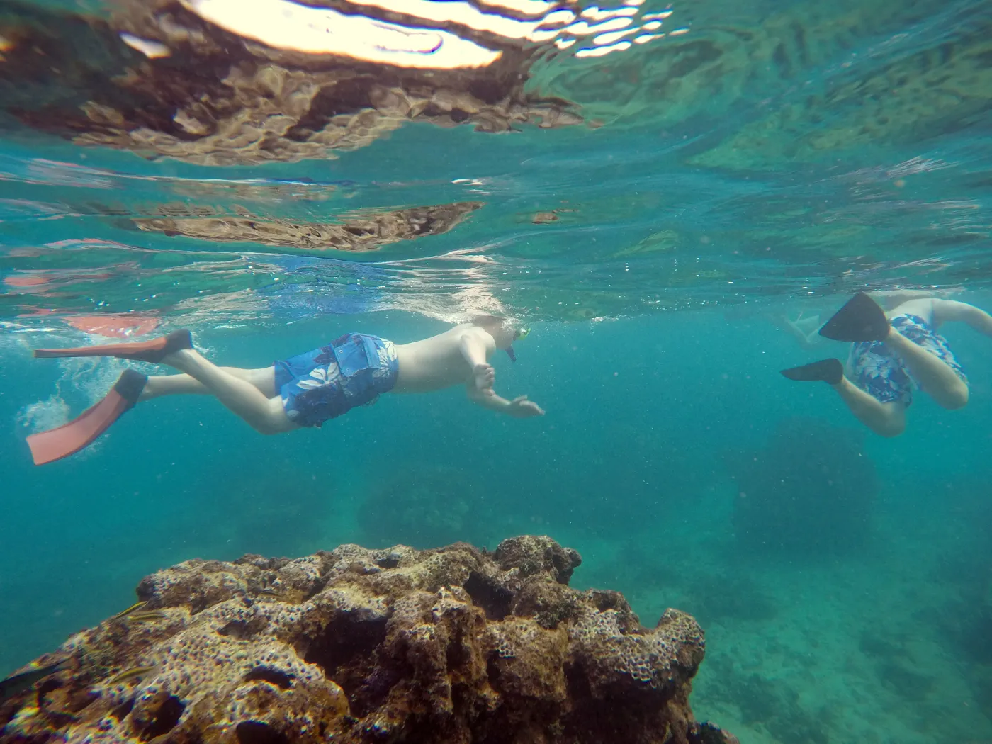 Clearwater Shallow Reef