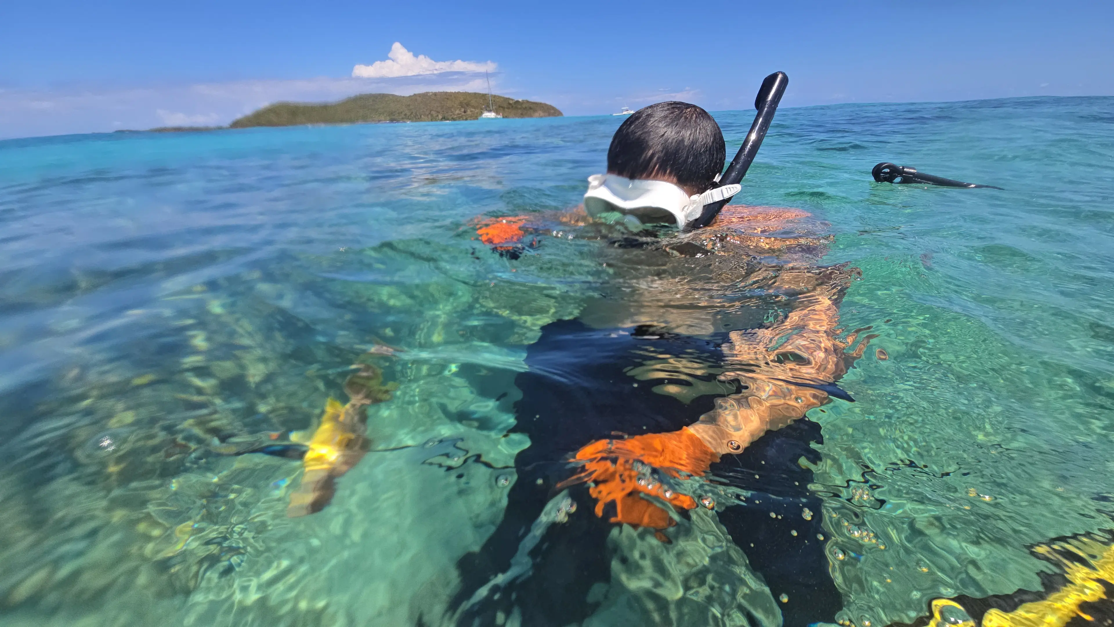 Snorkeling Reefs
