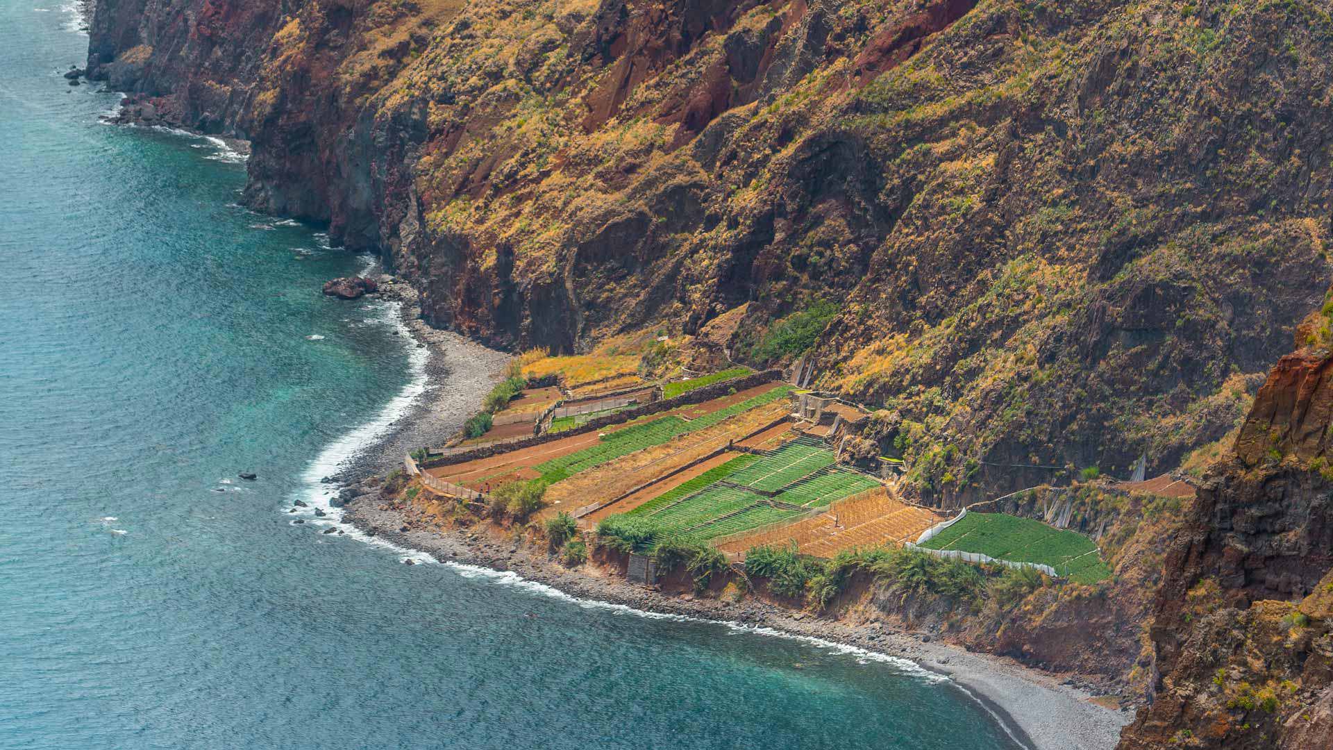 Fajã do Cabo Girão Viewpoint