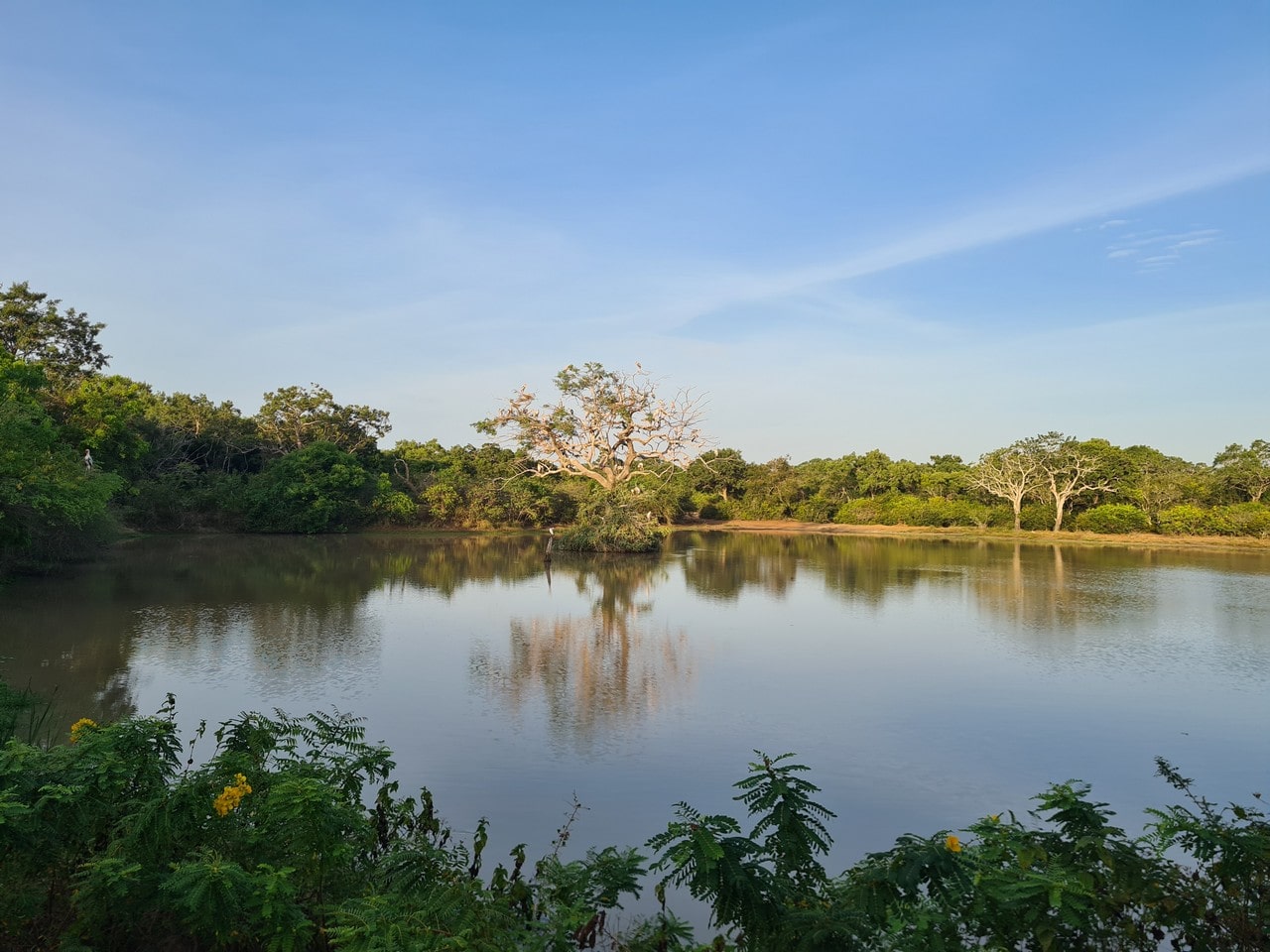 Wilpattu Safari Through Sri Lanka's Largest National Park