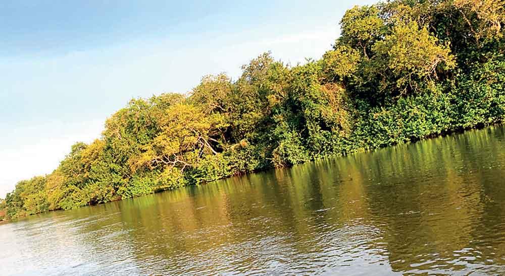 Kala Oya River Floodplain