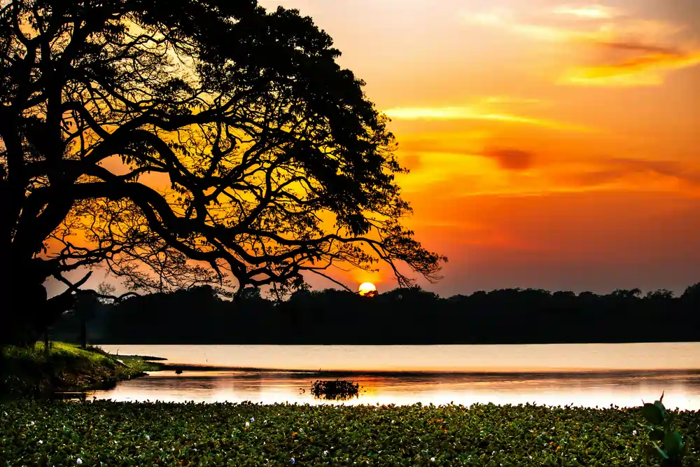 Sunset Exit via Kala Oya Boundary