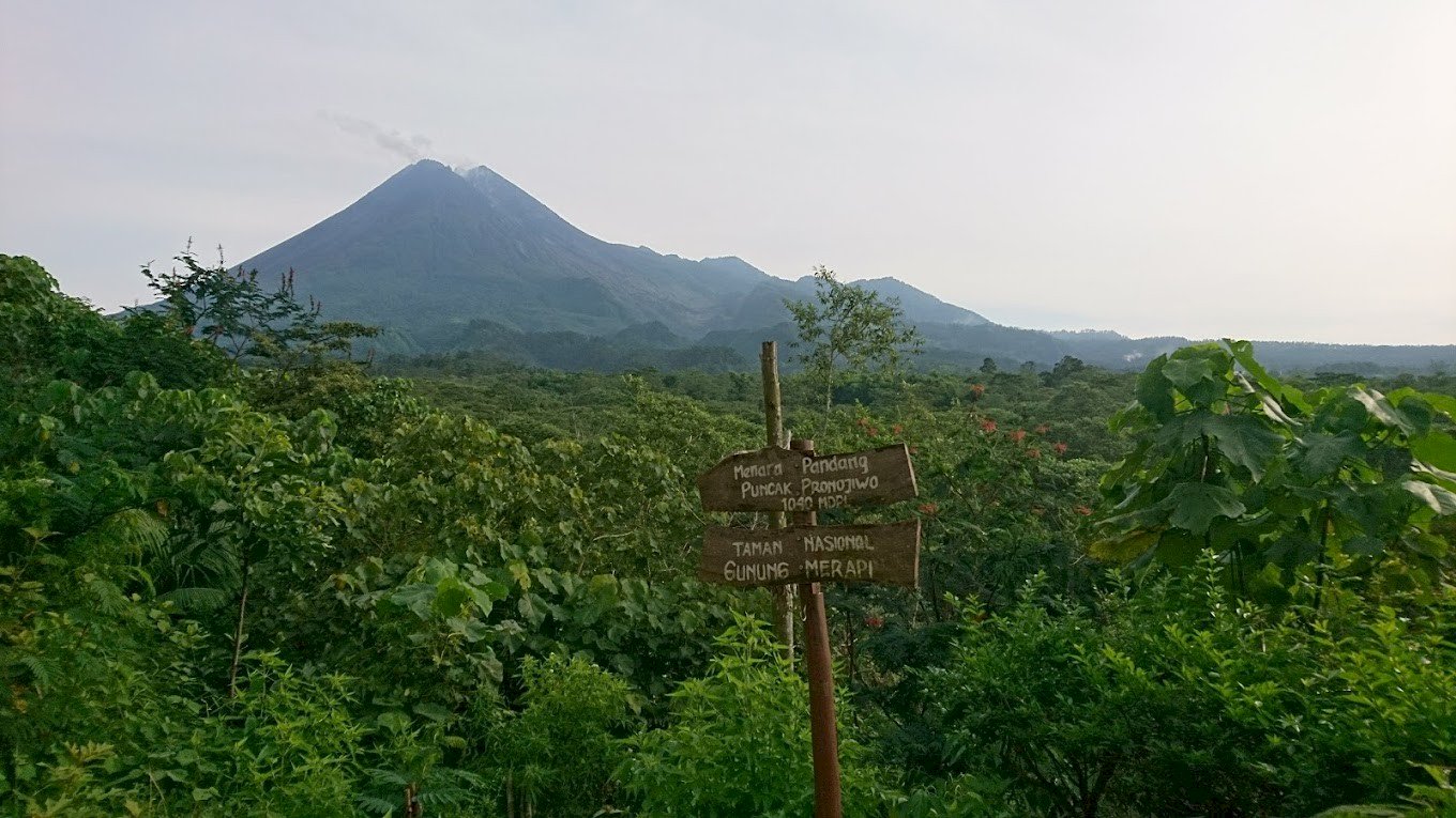 Java Jungle Path