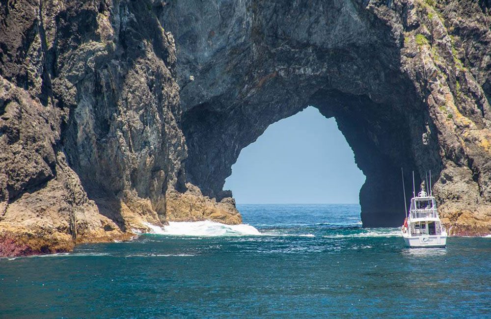 Hole in the Rock Cruise Paihia