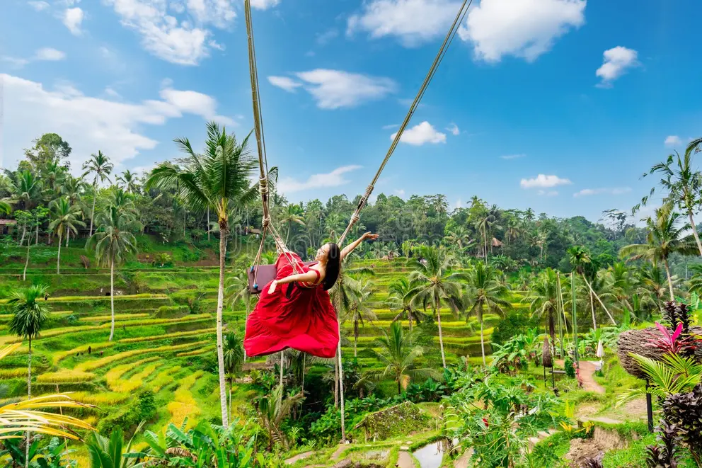 Your experience at Bali Swing Tours & Tickets