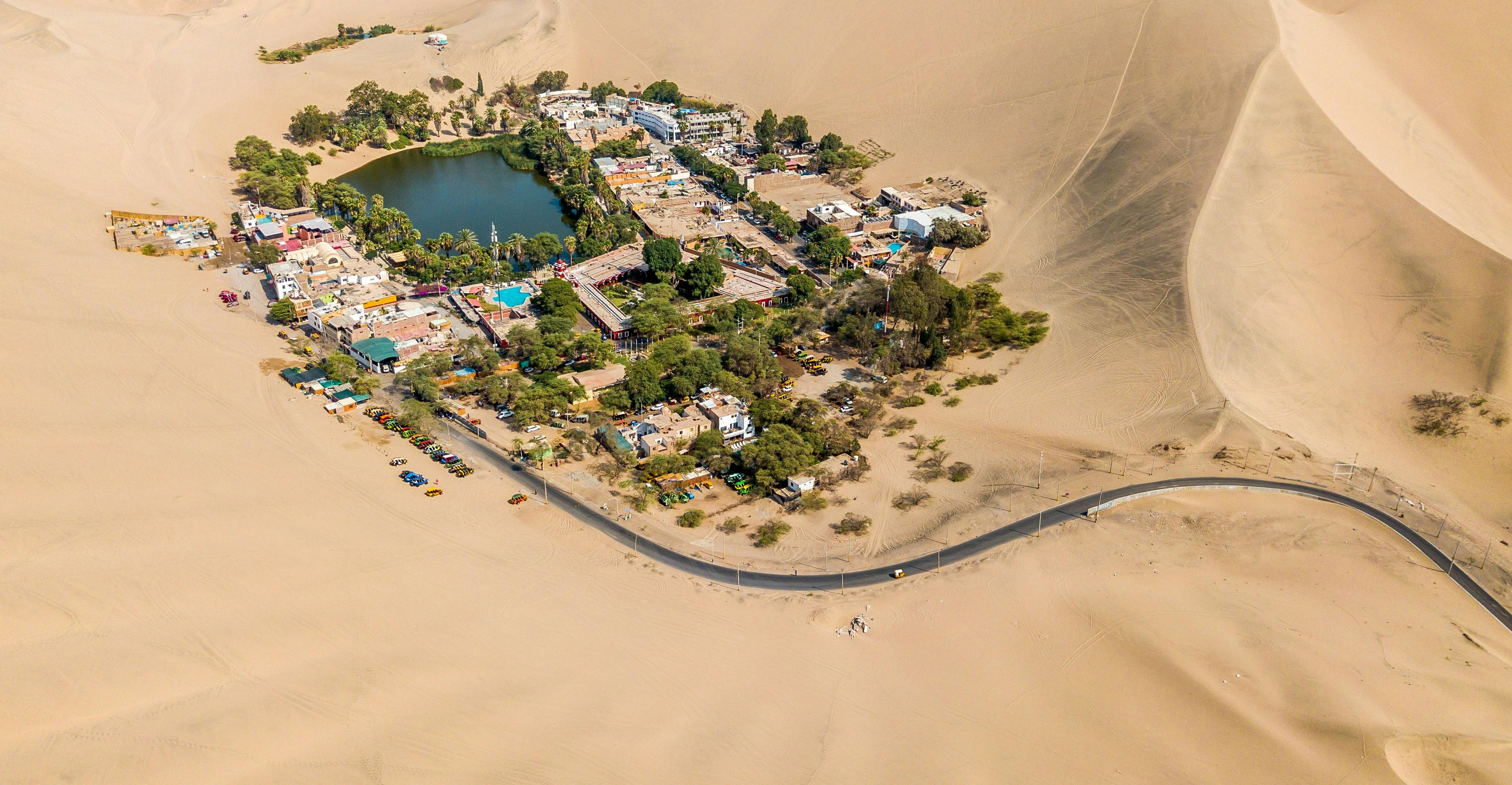 Climb to a Dune Viewpoint
