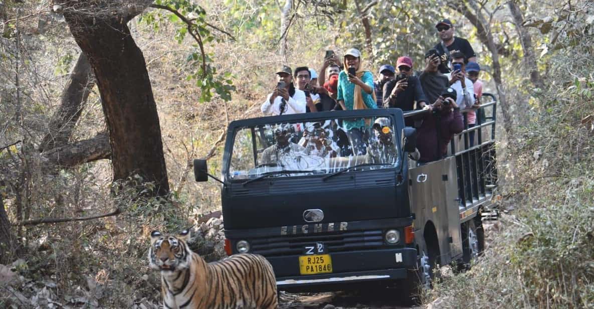 Evening Safari or Sundowner
