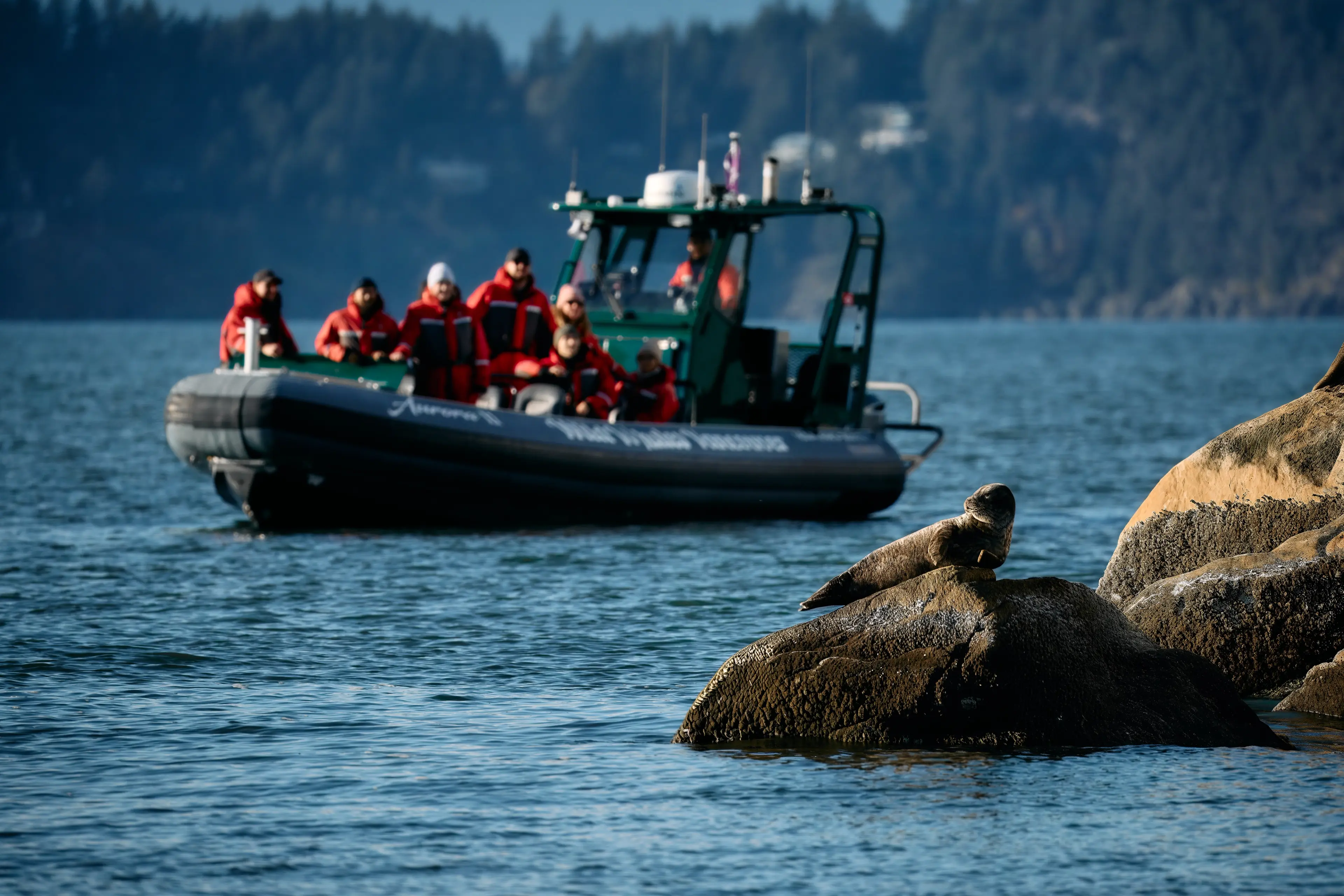 Vancouver Yacht Tours