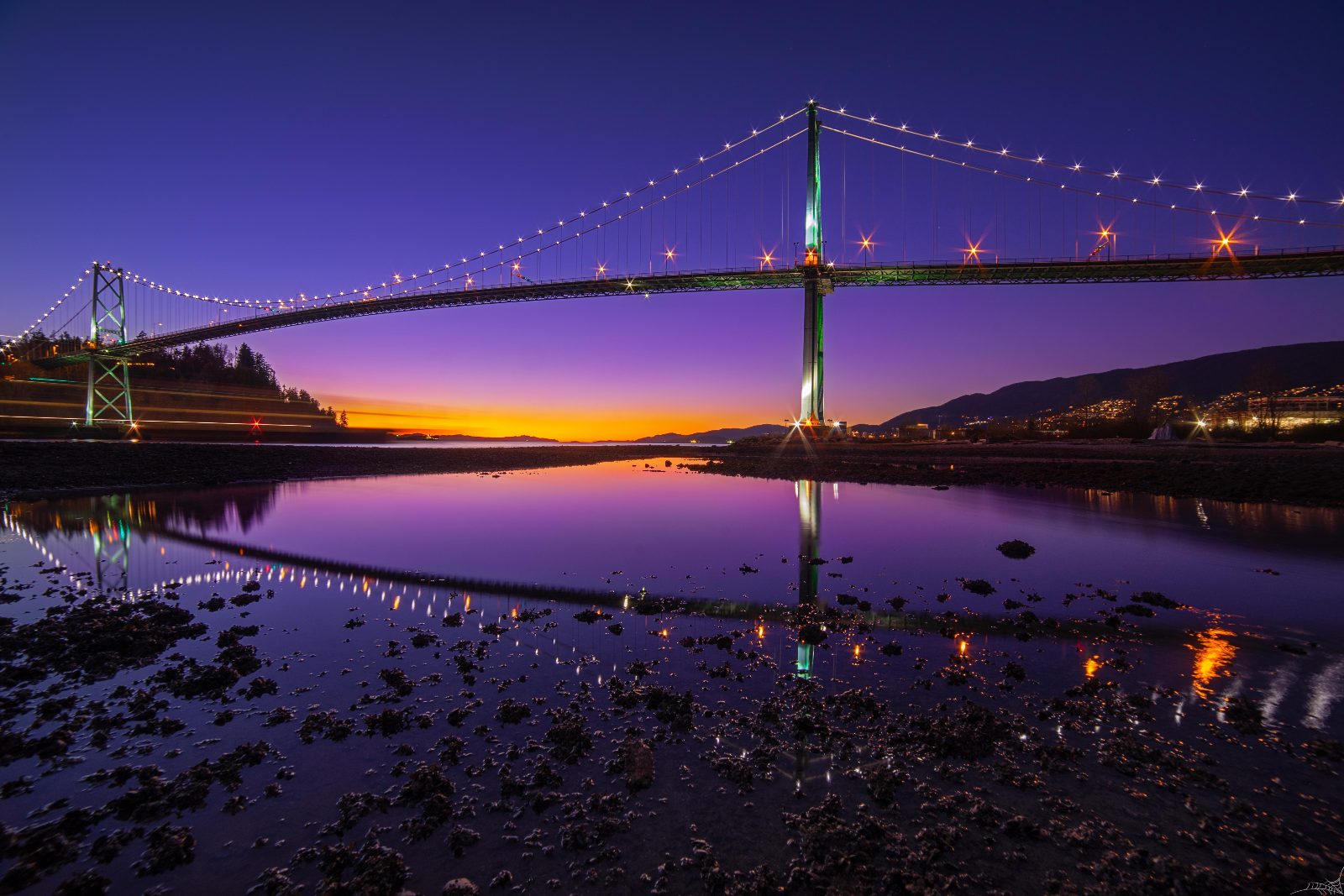 Lions Gate Bridge Viewpoint