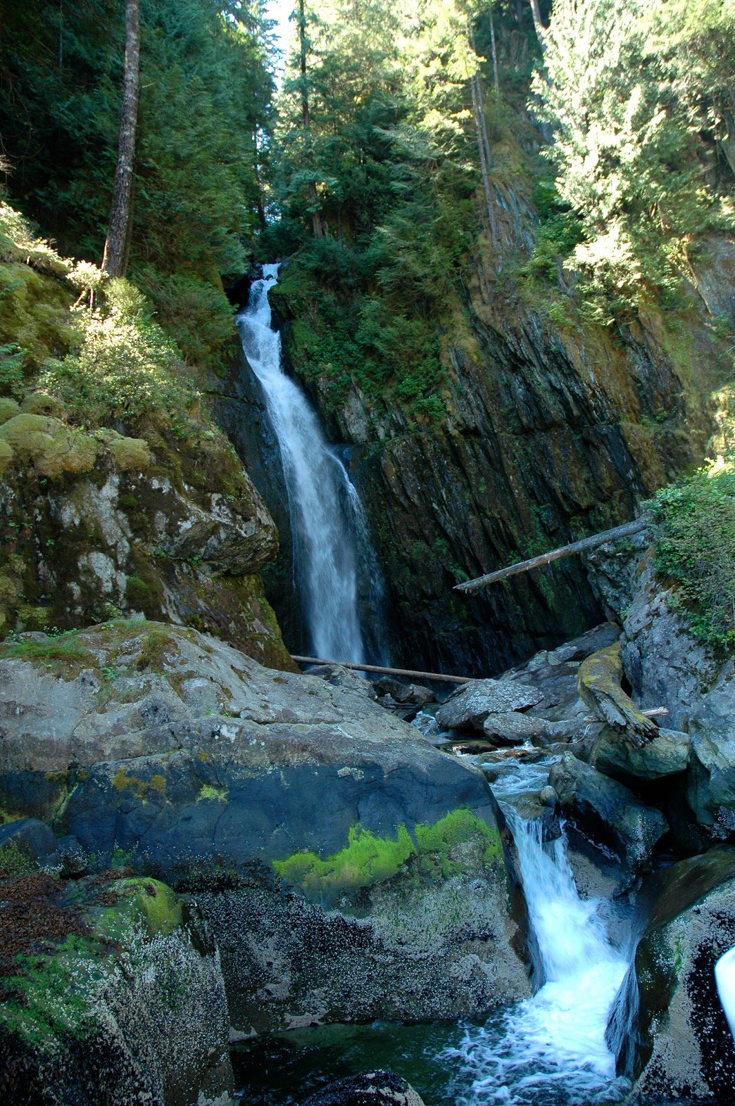 Silver Falls Railing