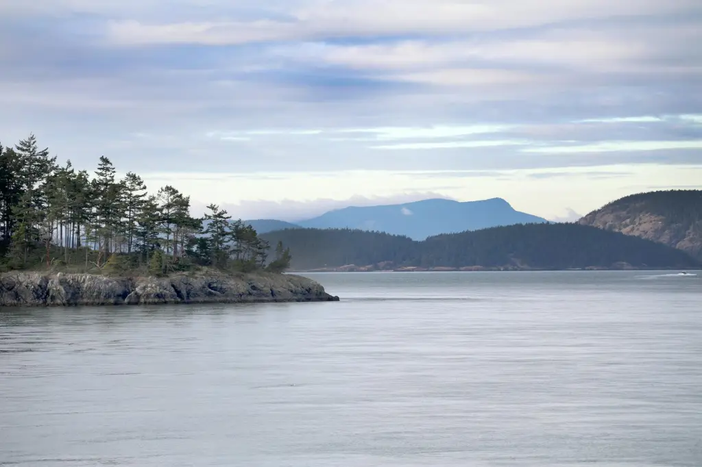 Salish Sea