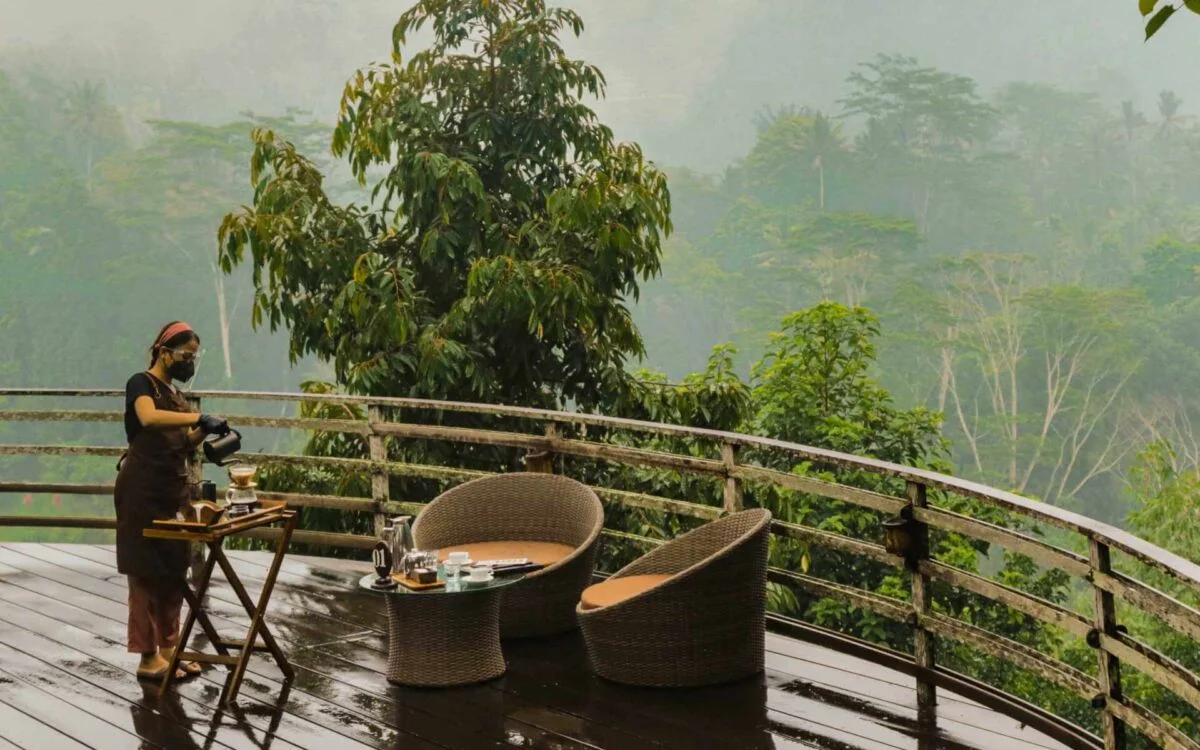 Degustazione di caffè Luwak