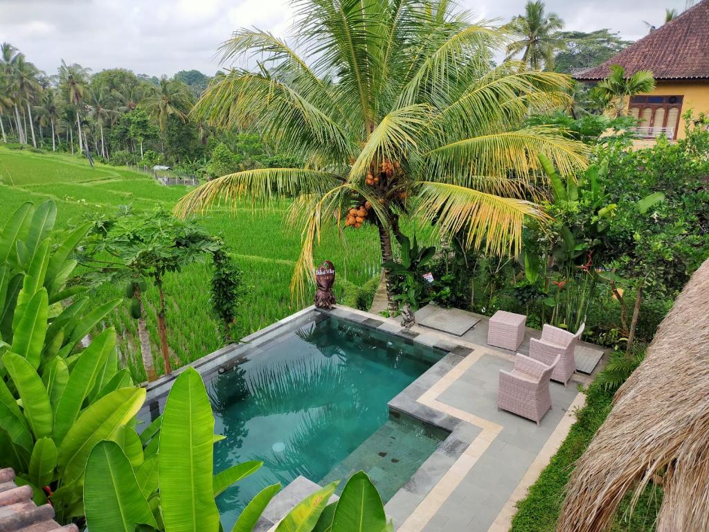 Guest house nel distretto di Tegalalang