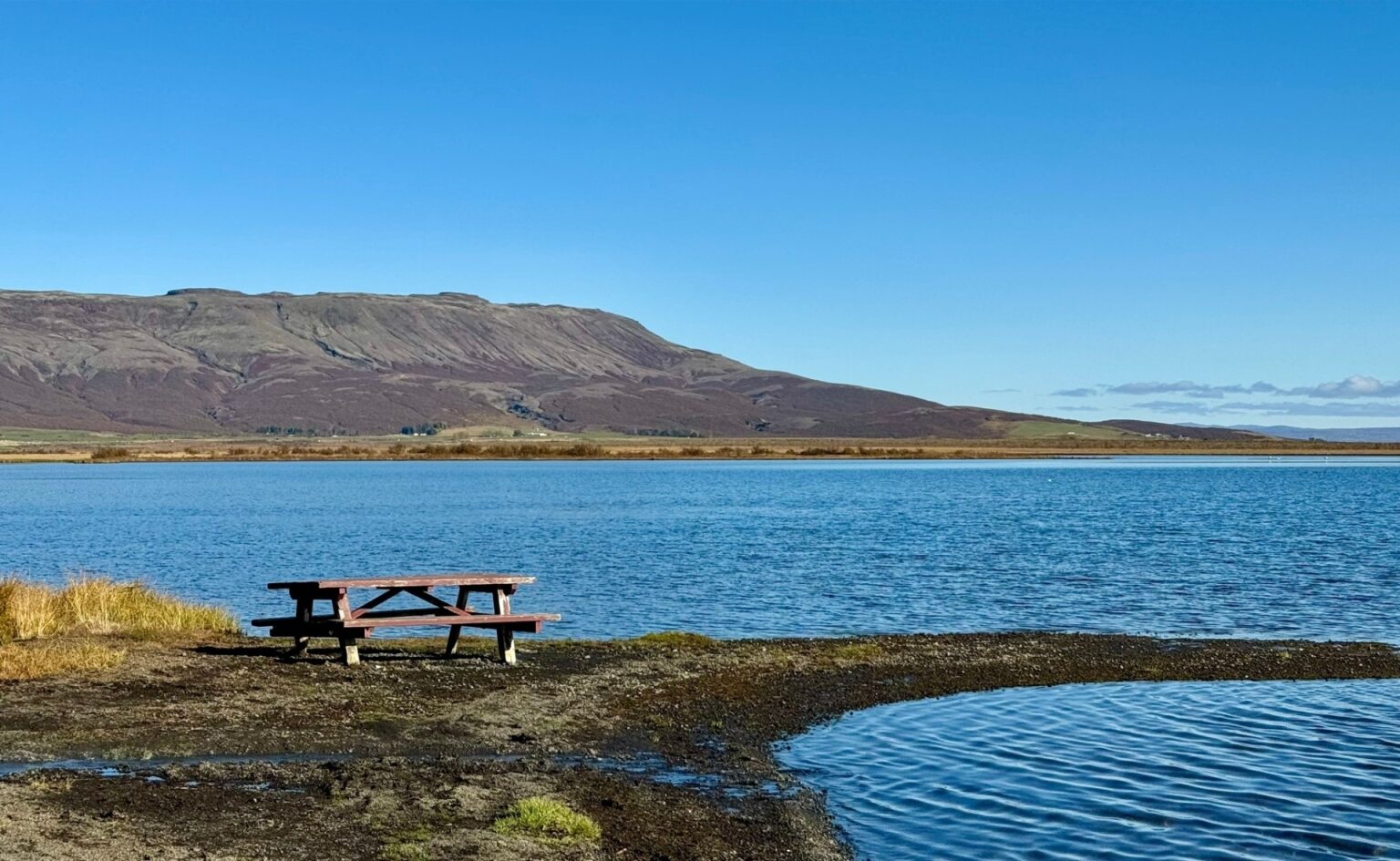 Riva del lago Laugarvatn