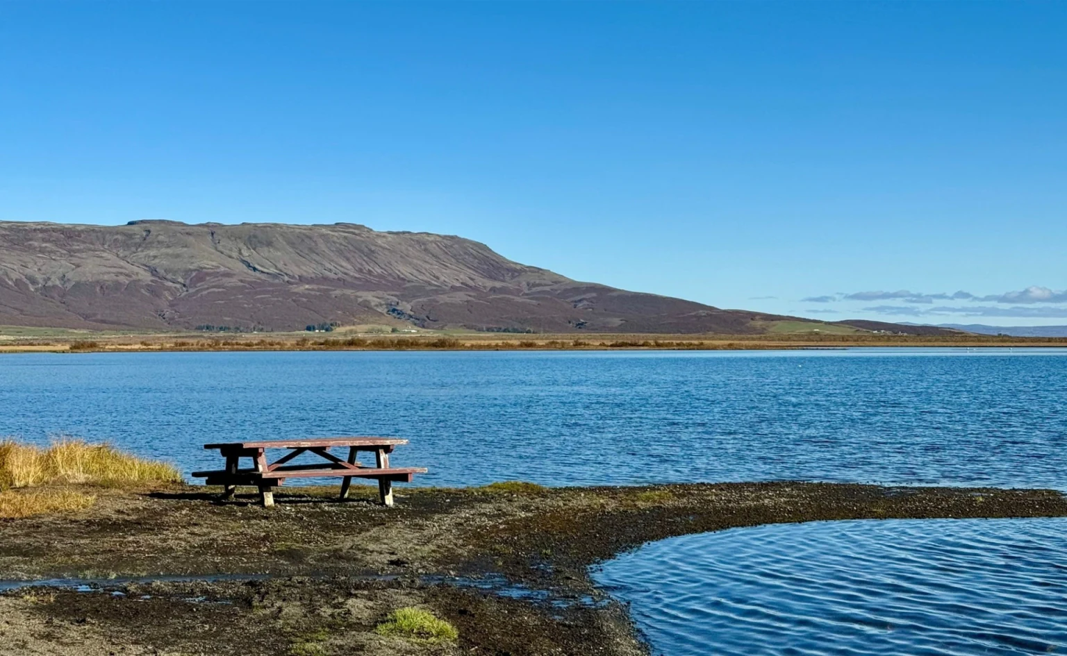 Laugarvatn Lake Shore