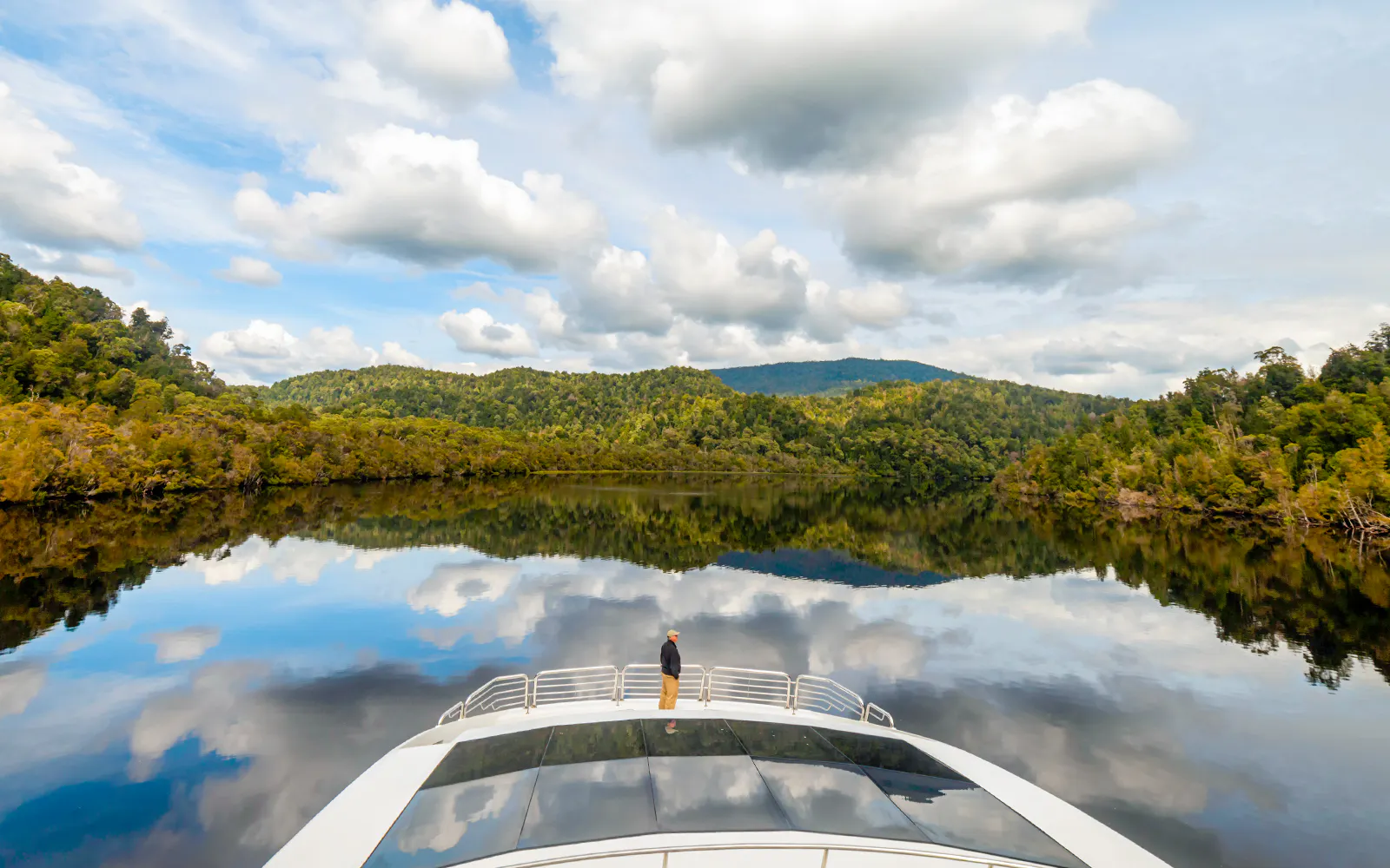 Vessel Observation Window