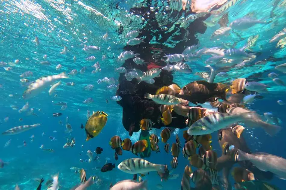 Snorkeling sur le récif corallien