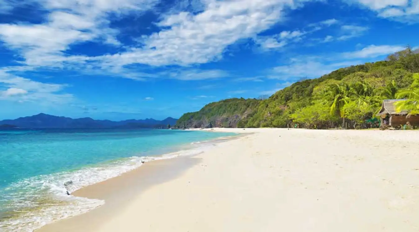 Malcapuya Island Tours & Tickets