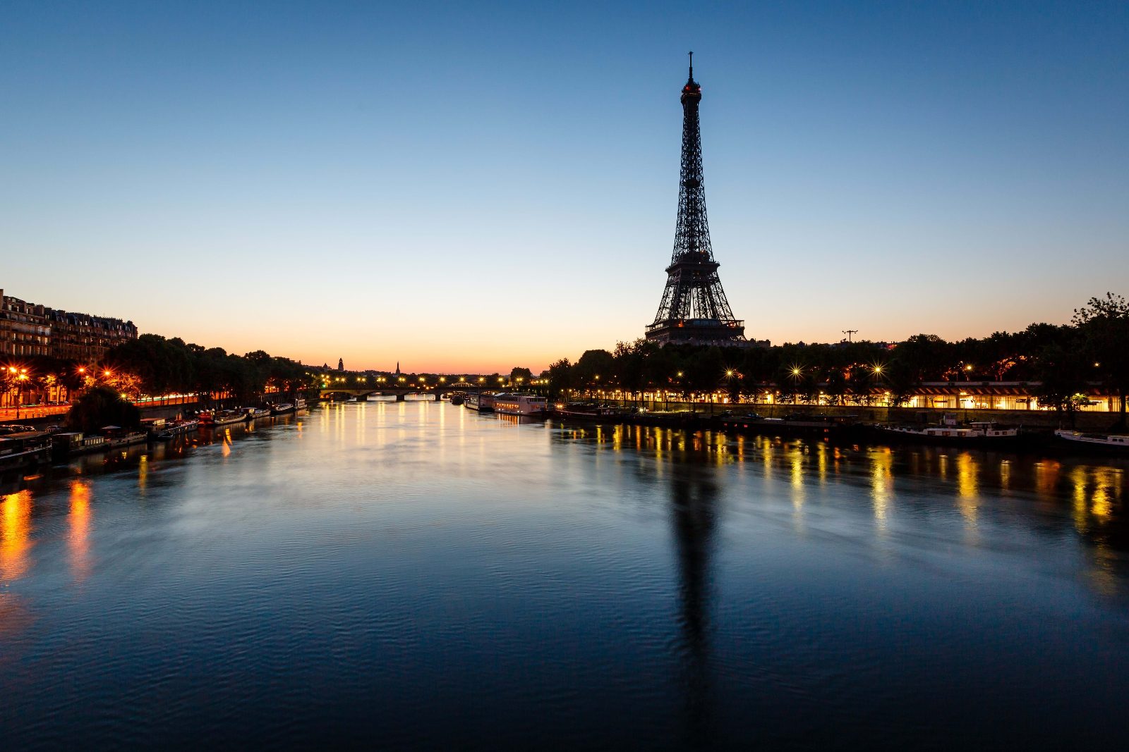 Eiffel Tower View