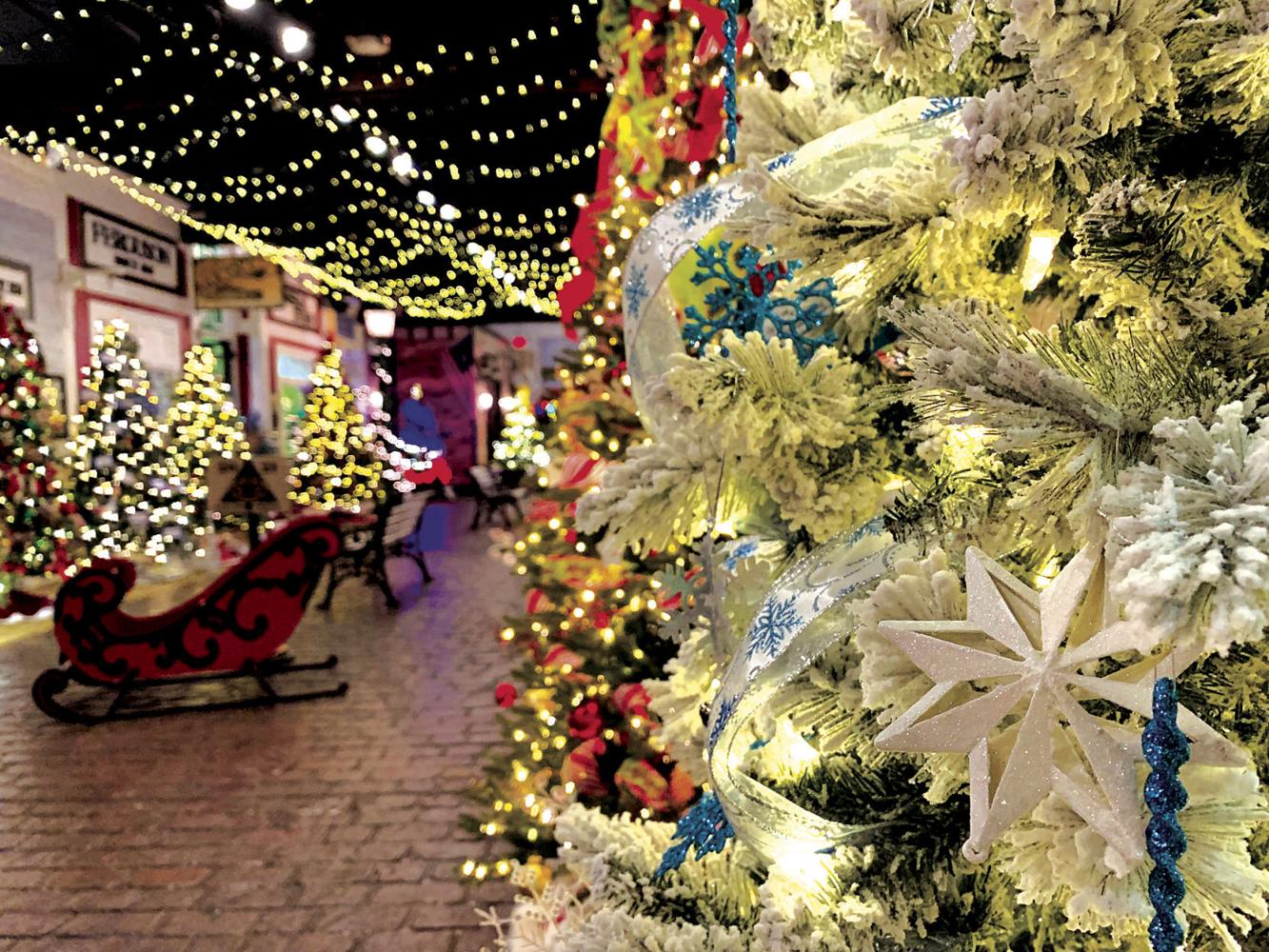 Christmas Tree Festival Display