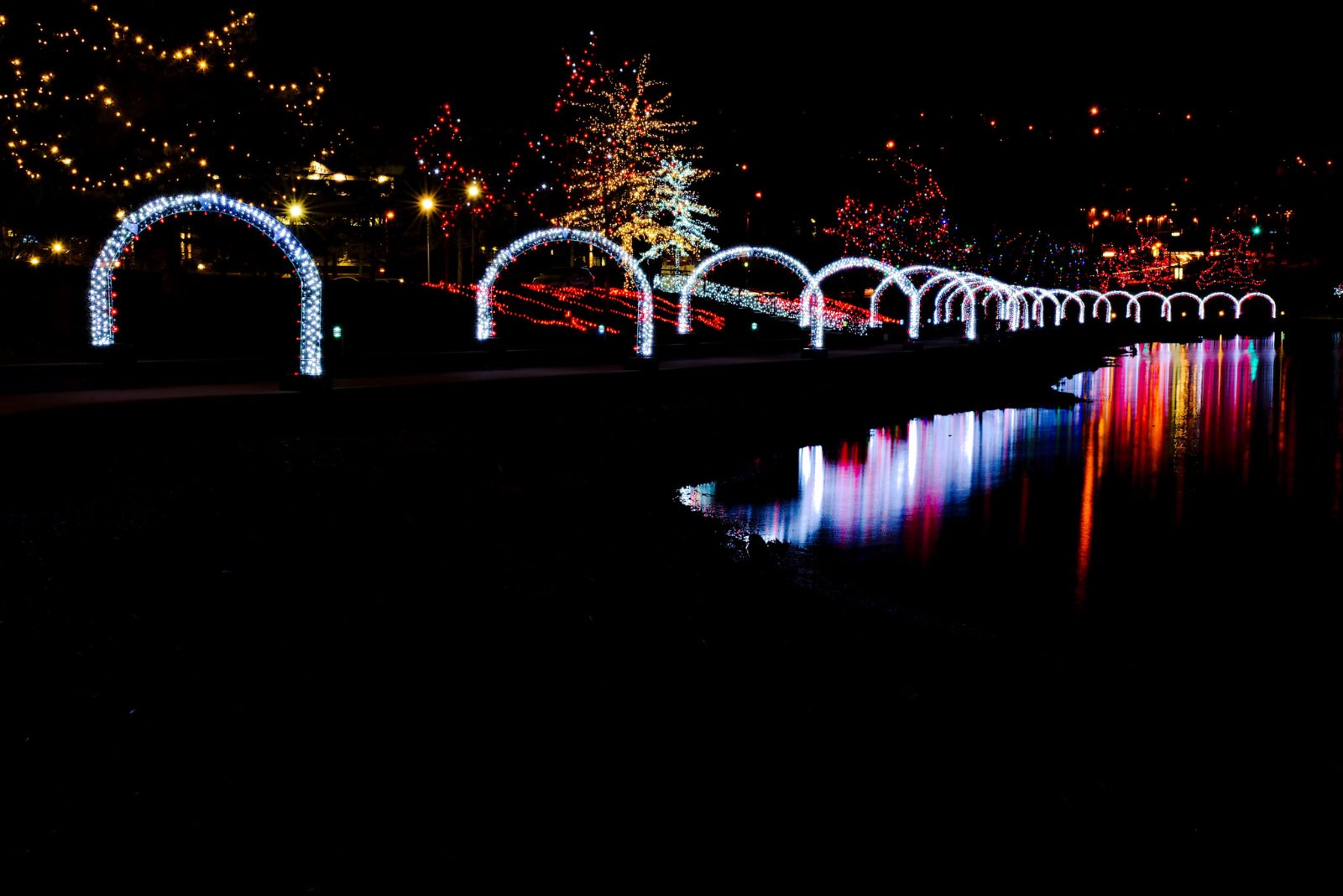 Shoreline Light Displays