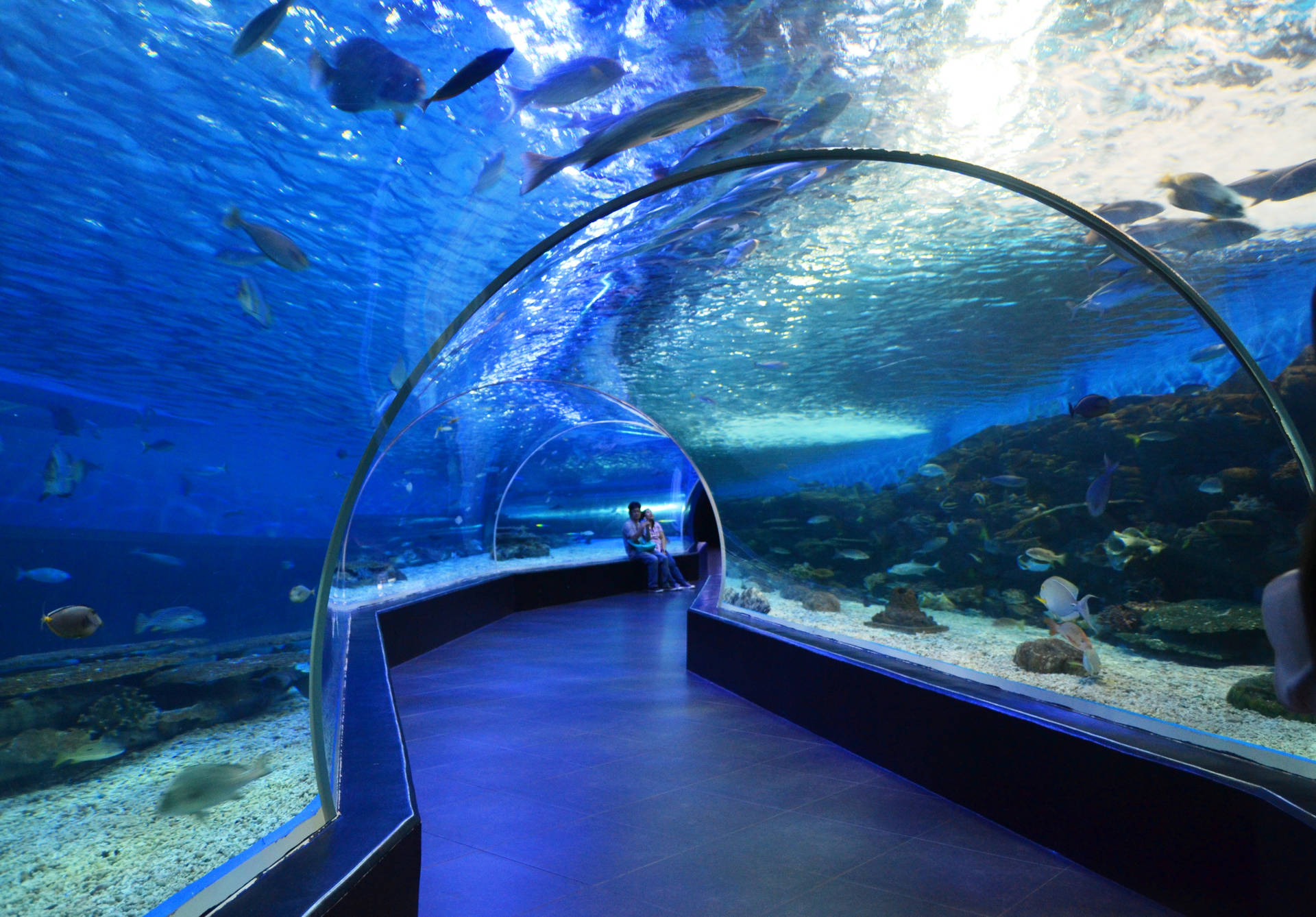 Manila Ocean Park